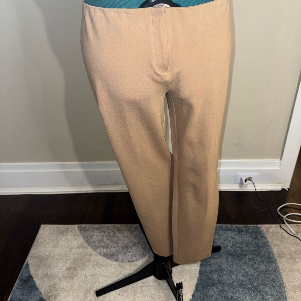 Stylish Tan stretch pants